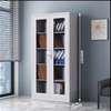 2 Door Full Glass Mettallic Office Cabinet thumb 1