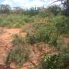 163 Acres Touching Makindu-Wote Road Is Available For Sale thumb 0