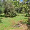 2 ac Residential Land at Old Muthaiga - Off Muthaiga Road thumb 0