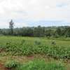 3.25 Acres Of Land For Sale in Ruku/Wangige thumb 3