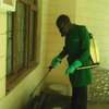 Cockroaches Fumigation Services Muthaiga thumb 2