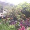 0.65 ac Residential Land at Mbaazi Avenue thumb 4