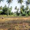 15 ac Land at Bomani thumb 14