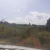 0.25 ac Land in Kiambu Road thumb 10