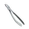 upper premolar forceps in  kenya thumb 3