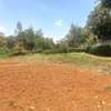 0.5 ac Residential Land at Muthithi thumb 2