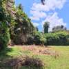 0.5 ac Land at Rosslyn thumb 9
