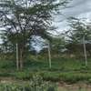 0.125 ac Land at Naivasha thumb 5