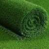 ELEGANT  GRASS CARPET thumb 6