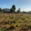 1/4 ACRE ON SALE IN ROYALTON ELDORET thumb 1