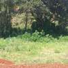 0.5 ac Residential Land at Muthithi thumb 15
