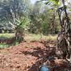 Residential Land at Fronting Limuru Road thumb 16