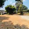 1 ac Land at Banana Raini Road thumb 3