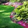 Best Landscaping & Gardening Services-Nakuru Experts thumb 7