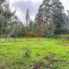0.05 ha Commercial Land in Kikuyu Town thumb 7