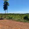 10 ac Residential Land at Evergreen -Kiambu Road thumb 6