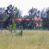 0.045 ac Residential Land at Kitengela thumb 7