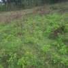 0.113 ac Land in Ngong thumb 10