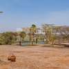 2 Bed House with Garden in Kitengela thumb 9