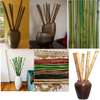 Bamboo Decorative Sticks for Decor/Craft/DIY thumb 0