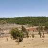 0.25 ac Land at Kipkorgot thumb 16