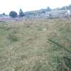 Lovely Quarter acre plots in Ngong thumb 5