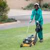 Home Gardening Services Nairobi,Kitengela, Kiambu, Syokimau,Kiserian,Thindigua, Kiambu, Machakos, Kajiado,Nairobi,Syokimau,Kitengela, Thindigua,Ruaka,Juja,Ngong,Thika,Limuru,Tigoni,Kajiado, Kiambu, Machakos,Murang'a ,Rongai,Ruaka,Upper Hill,Westland,Athi River,Ngong,Kitengela, Rongai,Ruai,Ruiru,Juja,Ngong,Kikuyu,Thika ,Lower Kabete,Juja,Rongai,Uthiru,Ruiru, Ruai,Kitengela,Ruiru,Thika, Ongata Rongai, Ngong,Kamulu , Joska ,Malaa,Kitengela,Ngong,Limuru,Thika,Athi River, Kiambu,Kitengela, Thindigua,Ruaka,Juja,Ngong,Thika,Lower,Kitengela, Thindigua, Ruaka, Juja, Ngong, Thika, Lower Kabete, Rongai,Uthiru,Kabete,Rongai,Uthiru,Kiserian. thumb 12