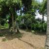 4 ac land for sale in Mtwapa thumb 7