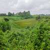 8 ac Land at Redhill thumb 1