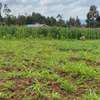 0.05 ha Residential Land in Kikuyu Town thumb 8