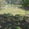 Lovely Quarter ( 1 / 4 ) Acre Land in Ngong thumb 13