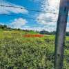 0.05 ha Land at Kamangu thumb 5