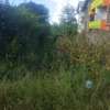 50by100 plot for sale in ruaka thumb 1