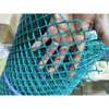PLASTIC POULTRY MESH thumb 3