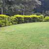 5 Bed Townhouse with En Suite in Rosslyn thumb 16