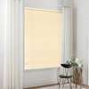 Adjustable Aluminum Window Blinds thumb 2