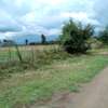 50x100 Land Plots Spacious Ready for Development- Ngata gate thumb 2