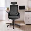 Office Chair: High Back Ergonomic Chair For Long Work Hours thumb 7