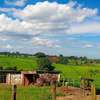 117 ac Land at Ngorongo Area thumb 6