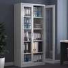 Glass Door Office Storage Cabinet thumb 5