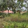 Plot For Sale - Matasia thumb 1