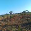 33 ac Commercial Land at Kiwengu thumb 9
