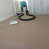 Carpet Cleaning Services.Lowest price guarantee.Free quote. thumb 4