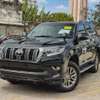 Toyota land cruiser KAKADU Grey 2019 thumb 1