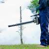Pest Control & Fumigation Services in Nyeri and across Kenya thumb 4