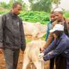 Professional Workforce & Facilities Management in Ruiru thumb 10