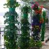 Professional Gardeners for Hire in Ruiru Nairobi thumb 6
