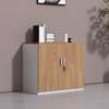 Storage Cabinets: Credenza Office Storage Cabinet thumb 0