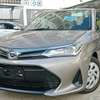 Toyota axio G grade 2019 Gold thumb 0