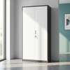 Cabinets : Full Door Office Storage Cabinet thumb 8